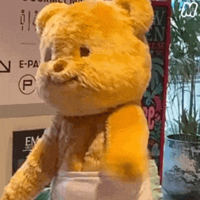 6.gif